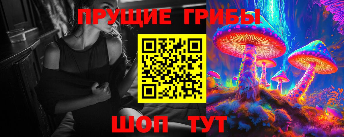 Галлюциногенные грибы Cubensis  Вход с VPN  Мегион 