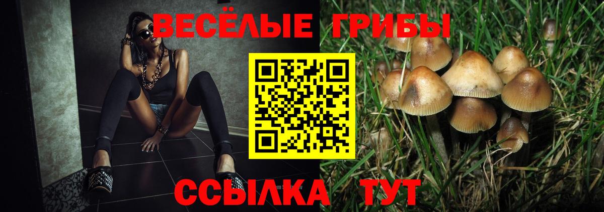 Галлюциногенные грибы Psilocybe Мегион